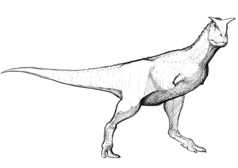 Carnotaurus Sastrei Coloring Page